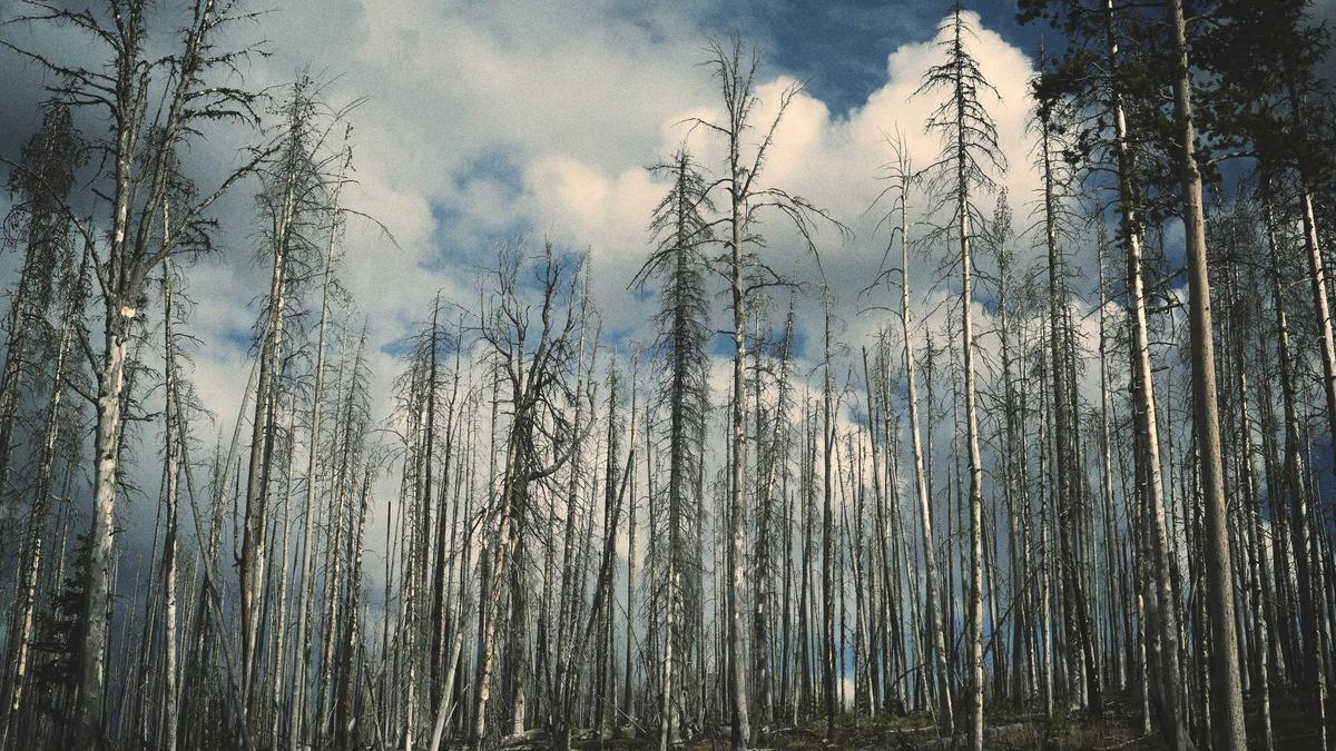 What Happens When an Earthen Dam Over-Tops: The 12-Minute Erosion Catastrophe
